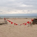 Hit Hard: Russian Immigrants in Brighton Beach Begin Post-Hurricane Cleanup