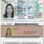 Marriage Fraud: An Intimate Portrait of a Green Card Marriage